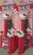 (image for) 2025 Christmas Hello Kitty Thick and Thin Pez Variation Pair Mint on Card