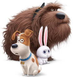 Duke, Max and Snowball from Secret Life of Pets Movie