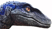 Blue Velociraptor